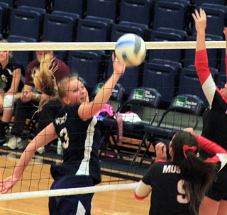 Ally Sonnen tips the ball past Dearys blockers.